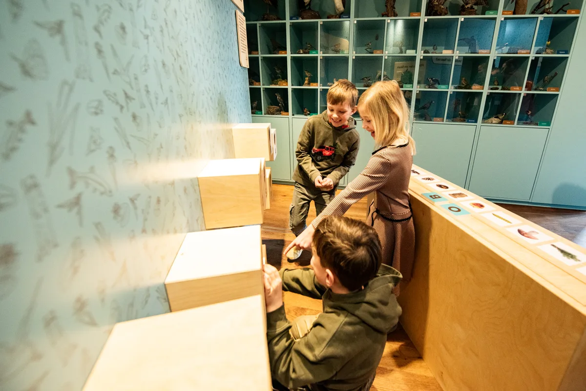 Die Taststation hält überraschende Entdeckungen bereit. Kinder greifen in Holzboxen, die an einer Wand montiert sind.